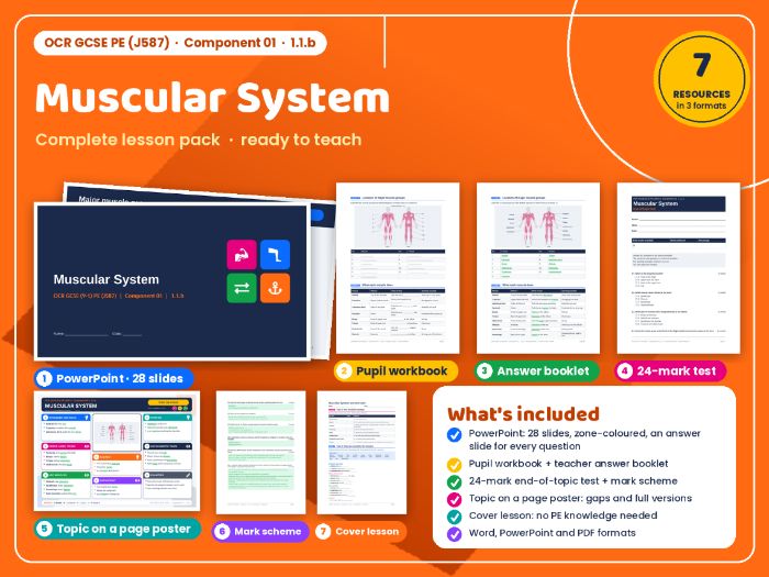 OCR GCSE PE (J587) 02: Muscular System – Complete Topic Pack