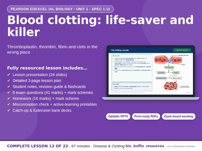IAL Biology Edexcel – Blood Clotting & CVD