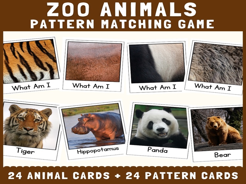 Zoo Animals Skin & Fur Pattern Matching | Cut and Match Science Activity