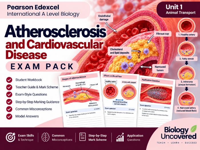 IAL Biology Unit 1: Atherosclerosis Exam Pack