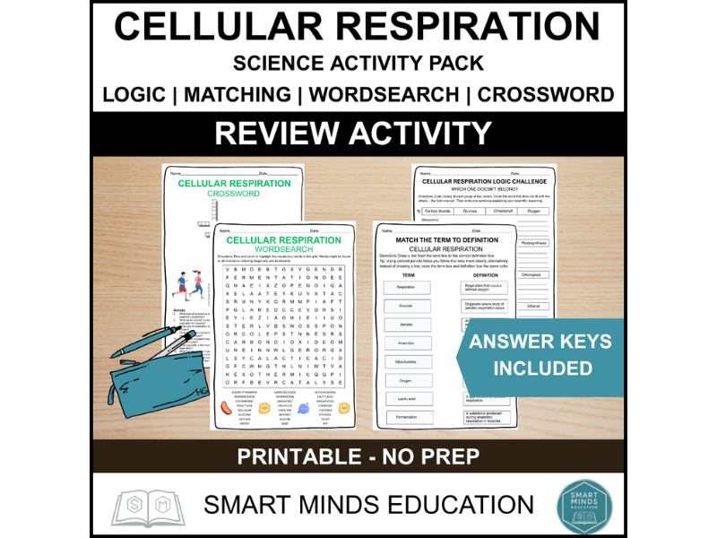 CELLULAR RESPIRATION 4 REVIEW ACTIVITIES | LOGIC | MATCHING | CROSSWORD | WORDSEARCH
