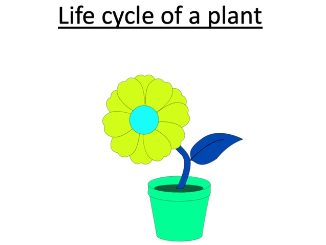 Year 3 Science - Life cycle of flowering plant PPT