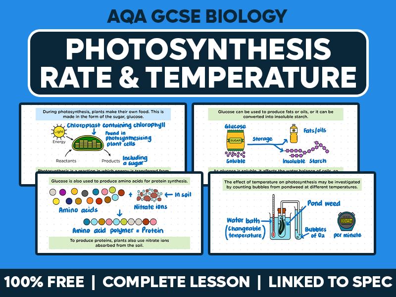 GCSE AQA Biology Complete Lesson - Photosynthesis Rate and Temperature