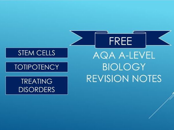 A-level Biology Stem Cells and Totipotency Revision Notes