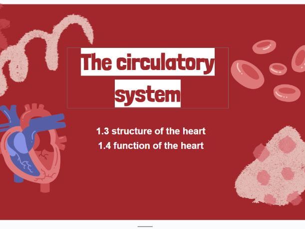 Level 3 Health + Social Care L04 1.3/1.4 Structure and function of the heart