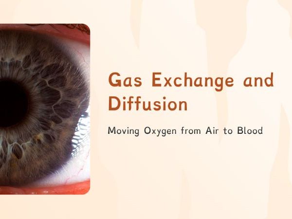 Y9 - Organisms - Gas Exchange and Diffusion (PPT + Worksheet)