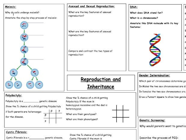 AQA Unit 6: Reproduction and Inheritance combined science revision sheet