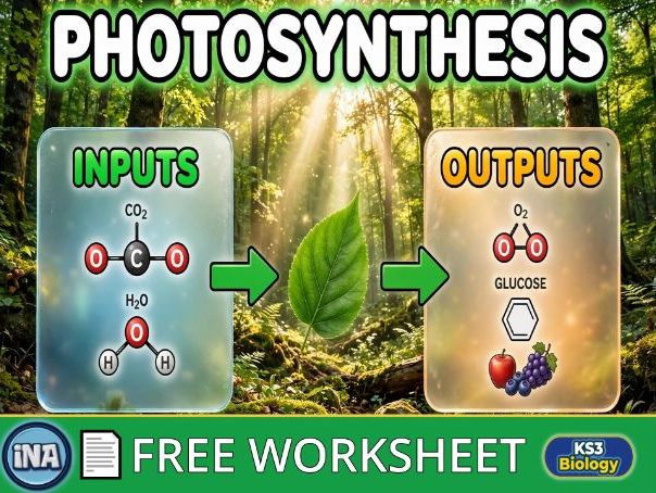 Photosynthesis - FREE KS3 Biology Worksheet