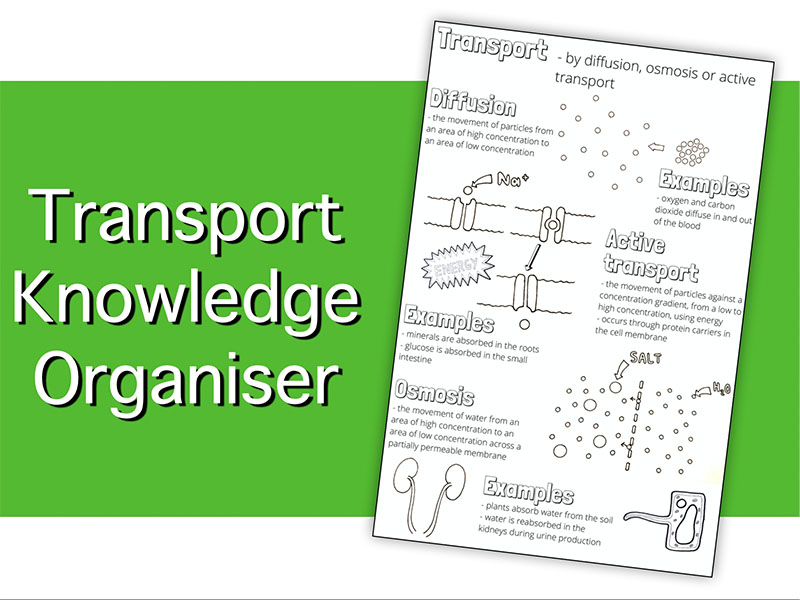 Transport Knowledge Organiser