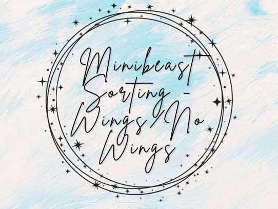 Minibeasts Sorting - Wings or No Wings