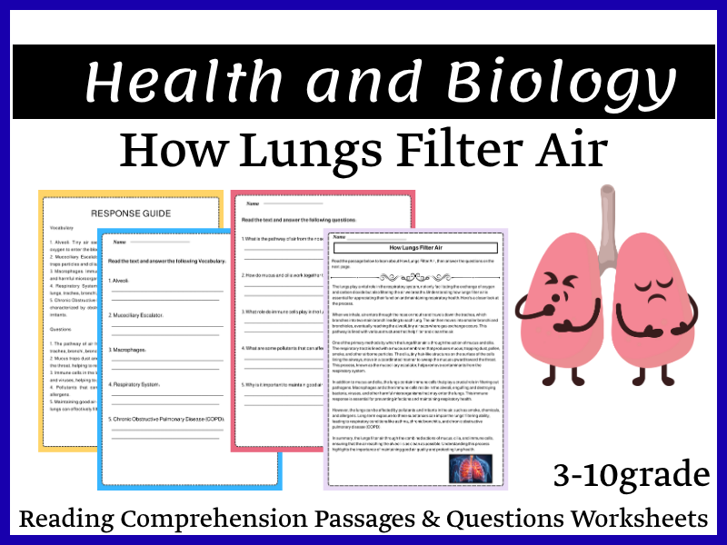 How Lungs Filter Air Reading Comprehension Passages & Questions Worksheets
