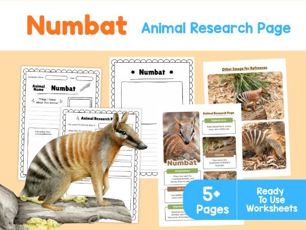 Numbat Animal Research Page | KS2 Science Worksheets