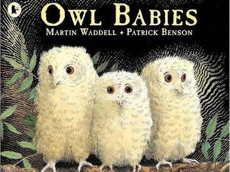 The Owl Babies- Reading Comprehension Activity Sheet