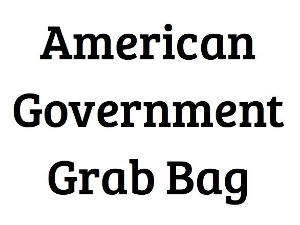 American Government Grab Bag