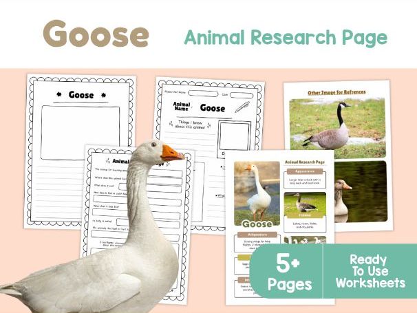Goose Animal Research Page | Birds and Habitats Science Worksheets