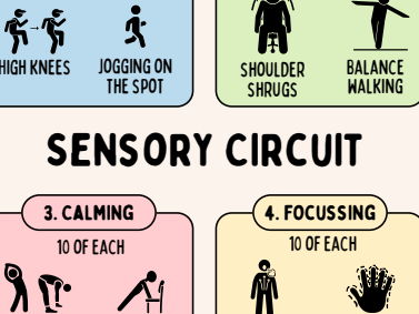 Sensory Circuit