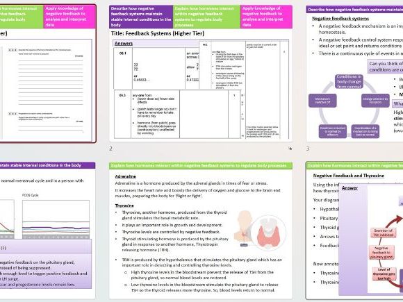 AQA Trilogy 4.5 L10 HT Feedback Systems