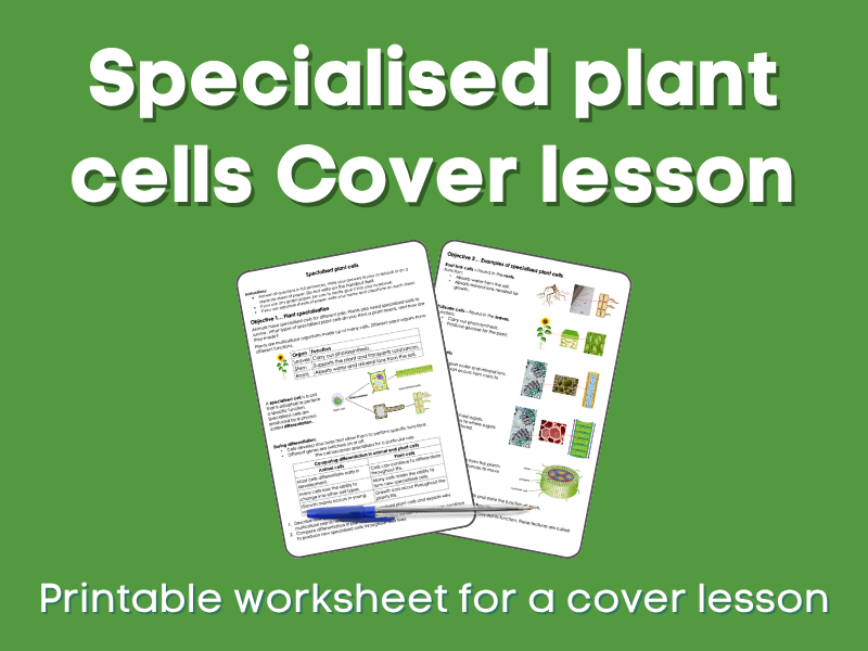 Specialised plant cells Cover lesson