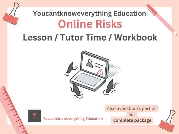 Online Risks Lesson 2026