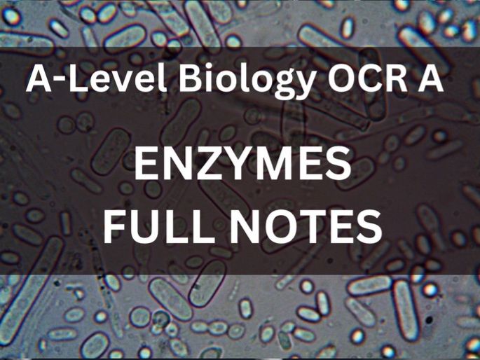 ALevel Biology OCR A enzymes full notes Teaching Resources