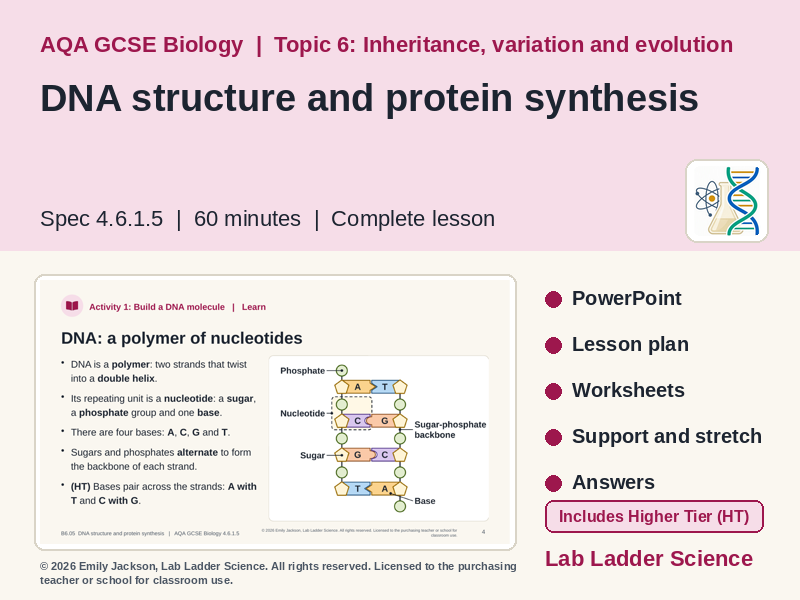 B6-05 DNA & Protein Synthesis: AQA GCSE Biology