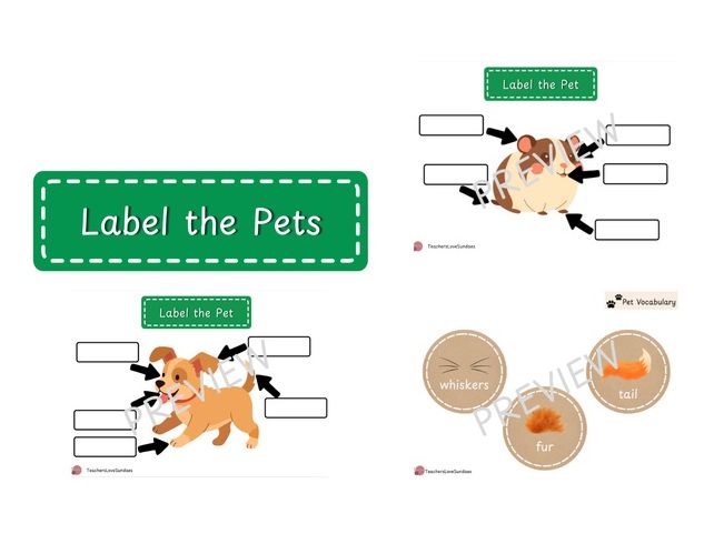 Label the Pets