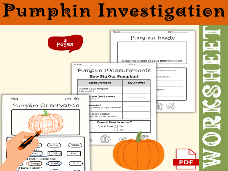 Pumpkin Investigation Worksheet | Pumpkin Science Activities | Fall & Halloween STEM