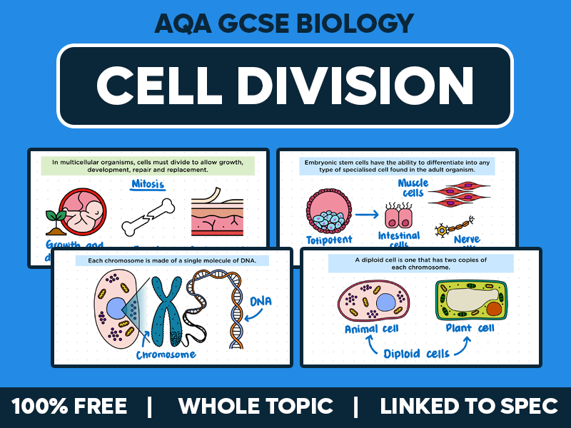 GCSE AQA Biology Lessons - Cell Division - Whole Topic Pack