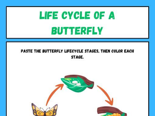 Life Cycle of a Butterfly Worksheet – Fun & Educational Activity for ...
