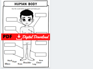 Human body parts matching worksheet