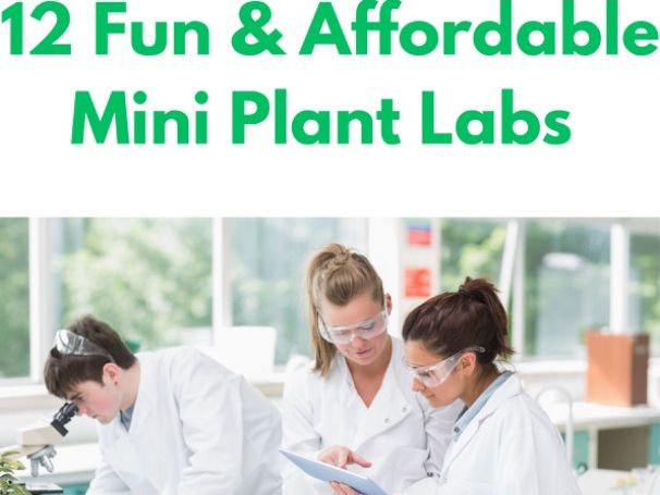 Plant Experiments 14 Hands on Labs Middle School Science