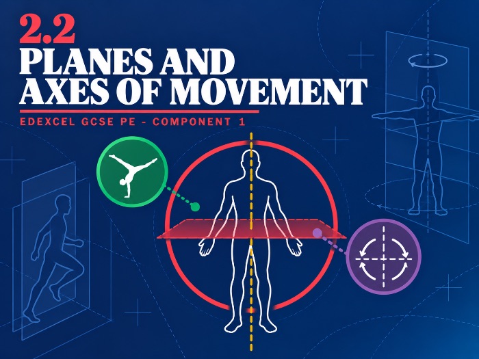 Edexcel GCSE PE 2.2 Planes and Axes of Movement - Complete Lesson