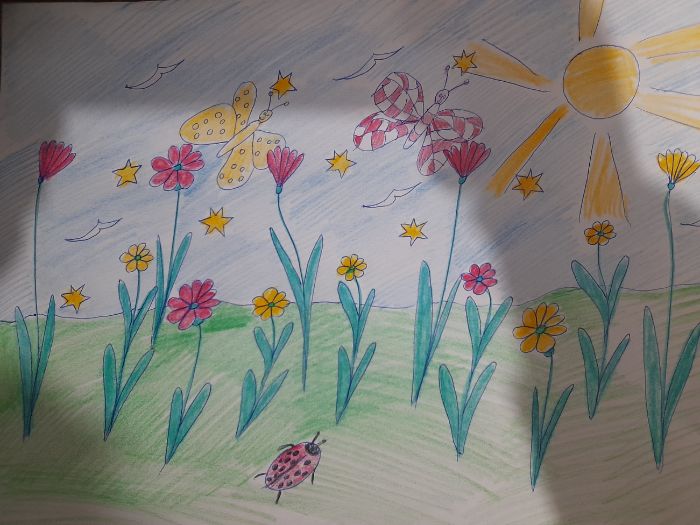 A nice field with flowers