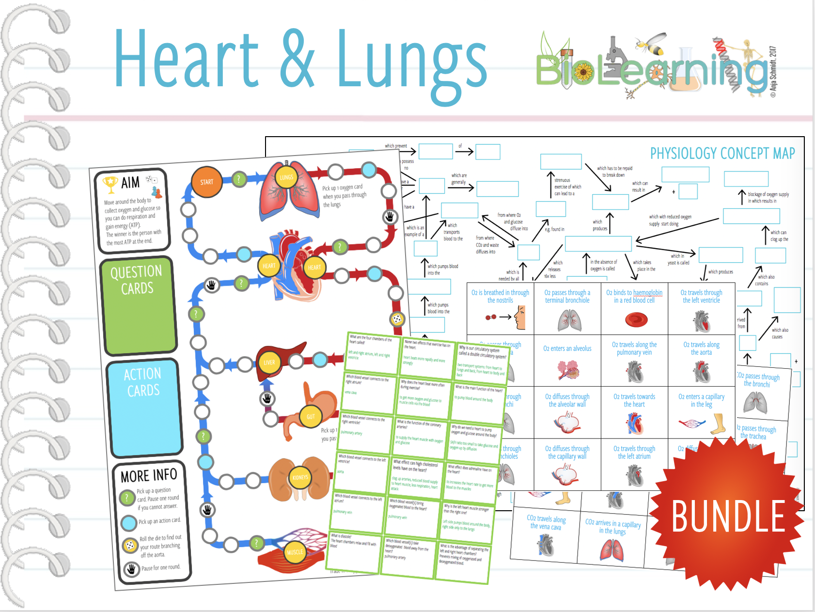 Heart & Lungs 4x Activities and Games by anjacschmidt Teaching