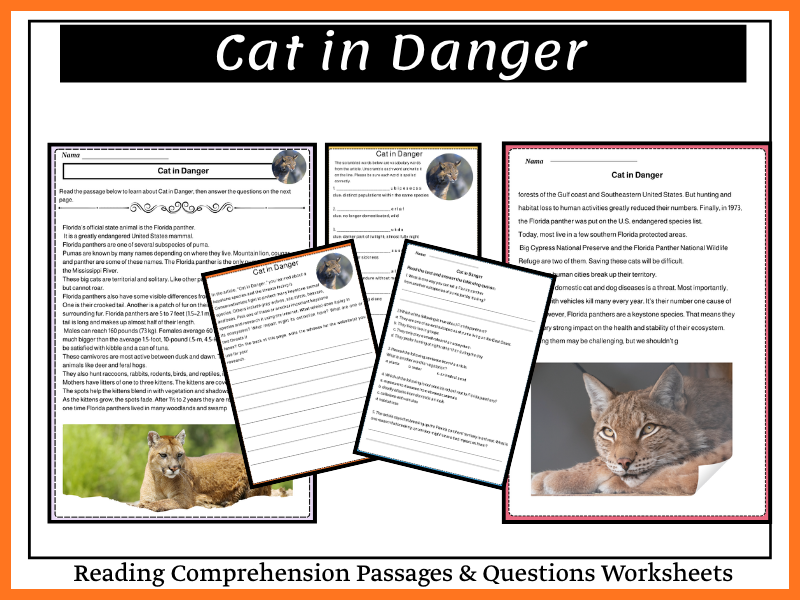 Cat in Danger Reading Comprehension Passages & Questions Worksheets