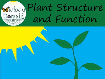 Plant Structure and Function Bundle
