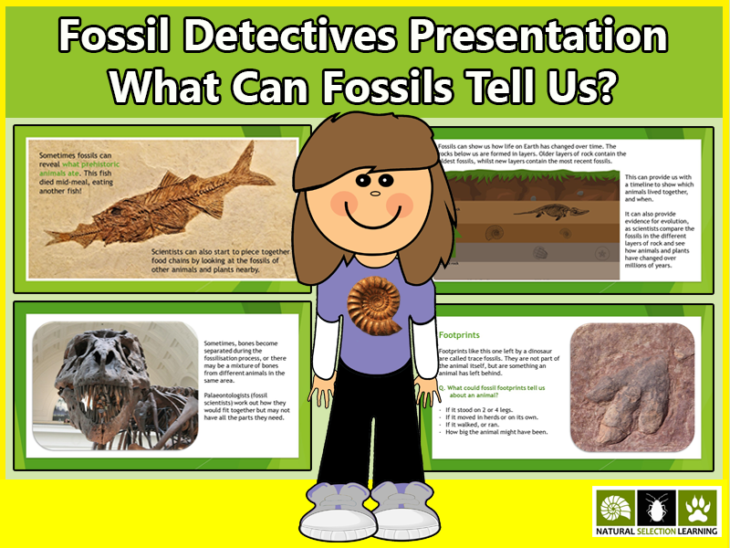 What Can Fossils Tell Us PowerPoint KS2 by Gdwaters1 Teaching Resources