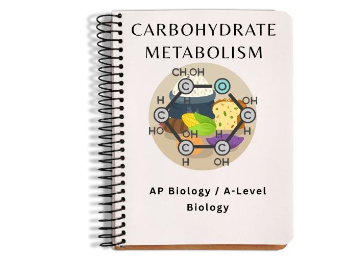 AP / A-Level Biology: Carbohydrate Metabolism Slide Deck & Reference Material