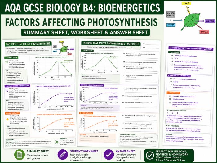 AQA GCSE Biology B4 Bioenergetics: Factors Affecting Photosynthesis Worksheet Pack