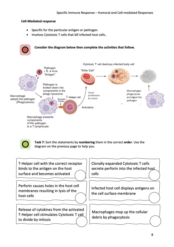 Immune System: T cells, B cells, HIV, Antibodies and Vaccines AQA A ...