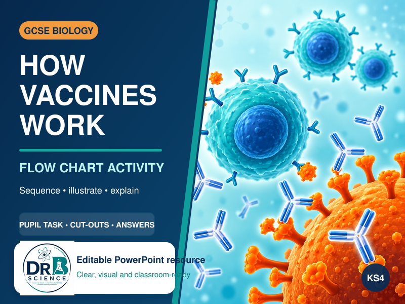 How Vaccines Work Flow Chart Activity