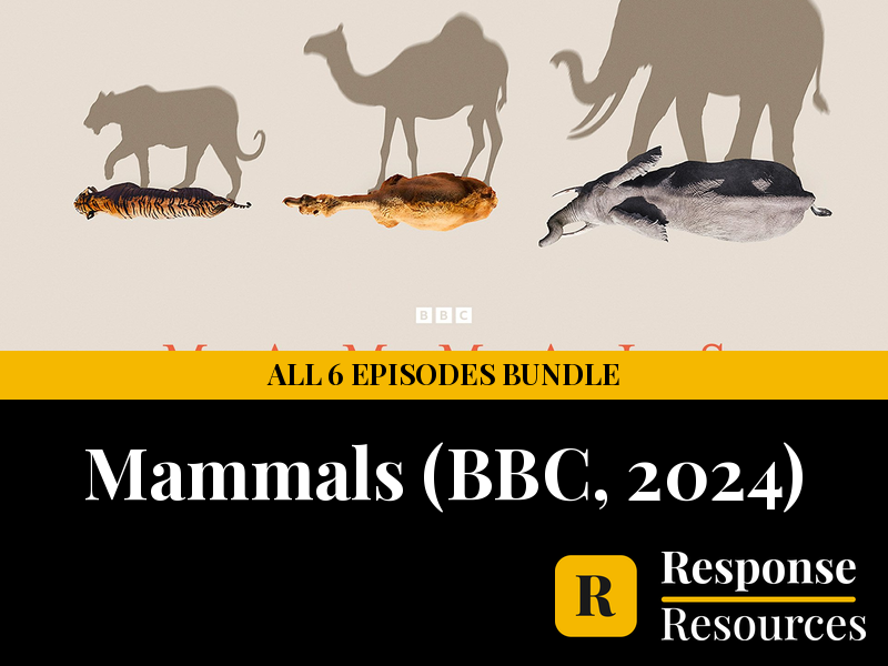 Mammals (BBC, 2024) Complete Series Bundle - All 6 Episodes Worksheets & Keys