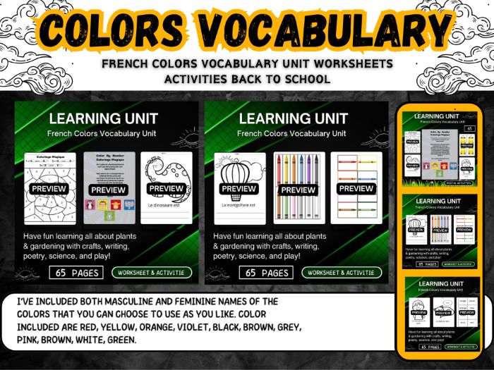 French Colors Vocabulary Unit back to school activities & worksheet