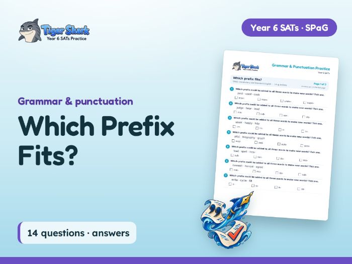 Which Prefix Fits? Worksheet: Year 6 SPaG