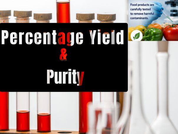 Starter Activity - Percentage Yield and Percentage Purity, Video + 2 free WS + Ans Keys