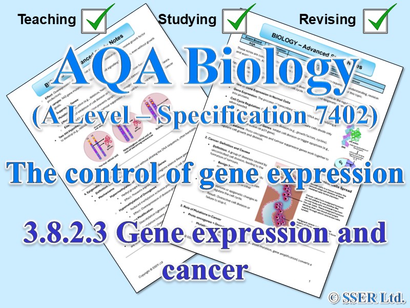 BIOA_AQA Topic Notes: 3.8.2.3 Gene expression and cancer
