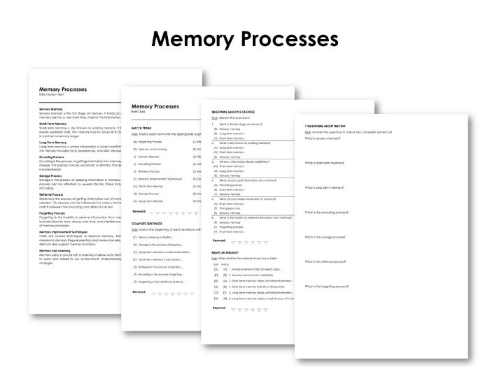 Memory Processes | Teaching Resources