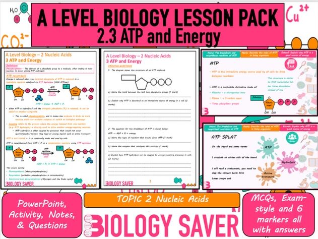 A Level Bio Lesson - 2.3 ATP and Energy