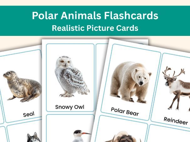 Polar Animals Flashcards – 20 Realistic Picture Cards Educational Learning