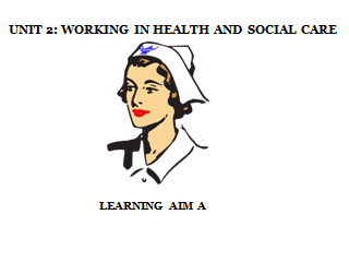 BTEC Level 3 Health and Social Care: Unit 2 - Working In  Health and Social Care [Learning Aim A]